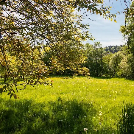 Ferienhaus Kellerstoeckl *
